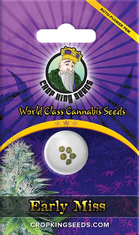 Early Miss Autoflowering Marijuana Seeds