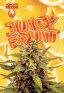 Juicy Fruit Autoflowering Marijuana Seeds