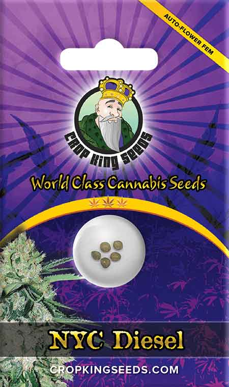 NYC Diesel Autoflowering Marijuana Seeds
