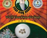 White Widow Feminized Marijuana Seeds