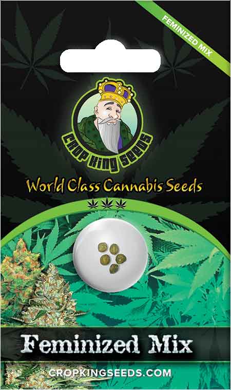 Feminized Mixed Marijuana Seeds