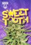 Sweet Tooth Feminized Seeds