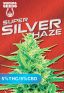 Super Silver Haze CBD Cannabis Strain