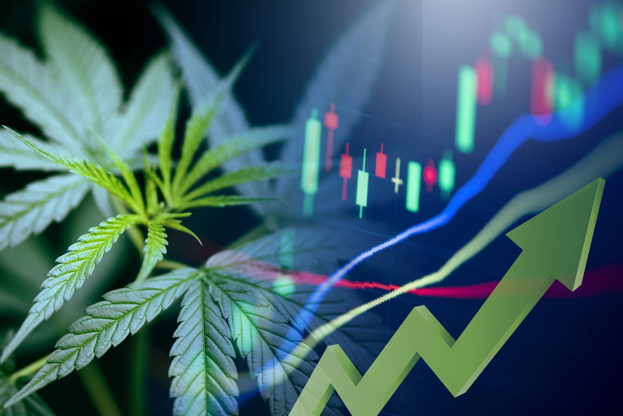Are Marijuana Penny Stocks Worth It