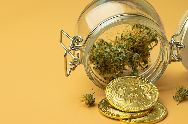 How Bitcoin Help you in your Marijuana Seeds Business