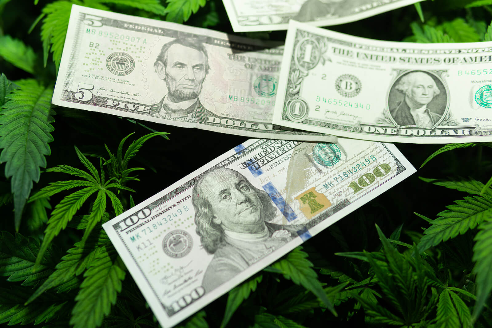 Complete List of Cannabis Stocks to Invest In