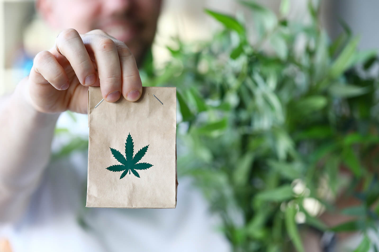 Expert Tips to Follow When Choosing The Best Cannabis Product Packaging