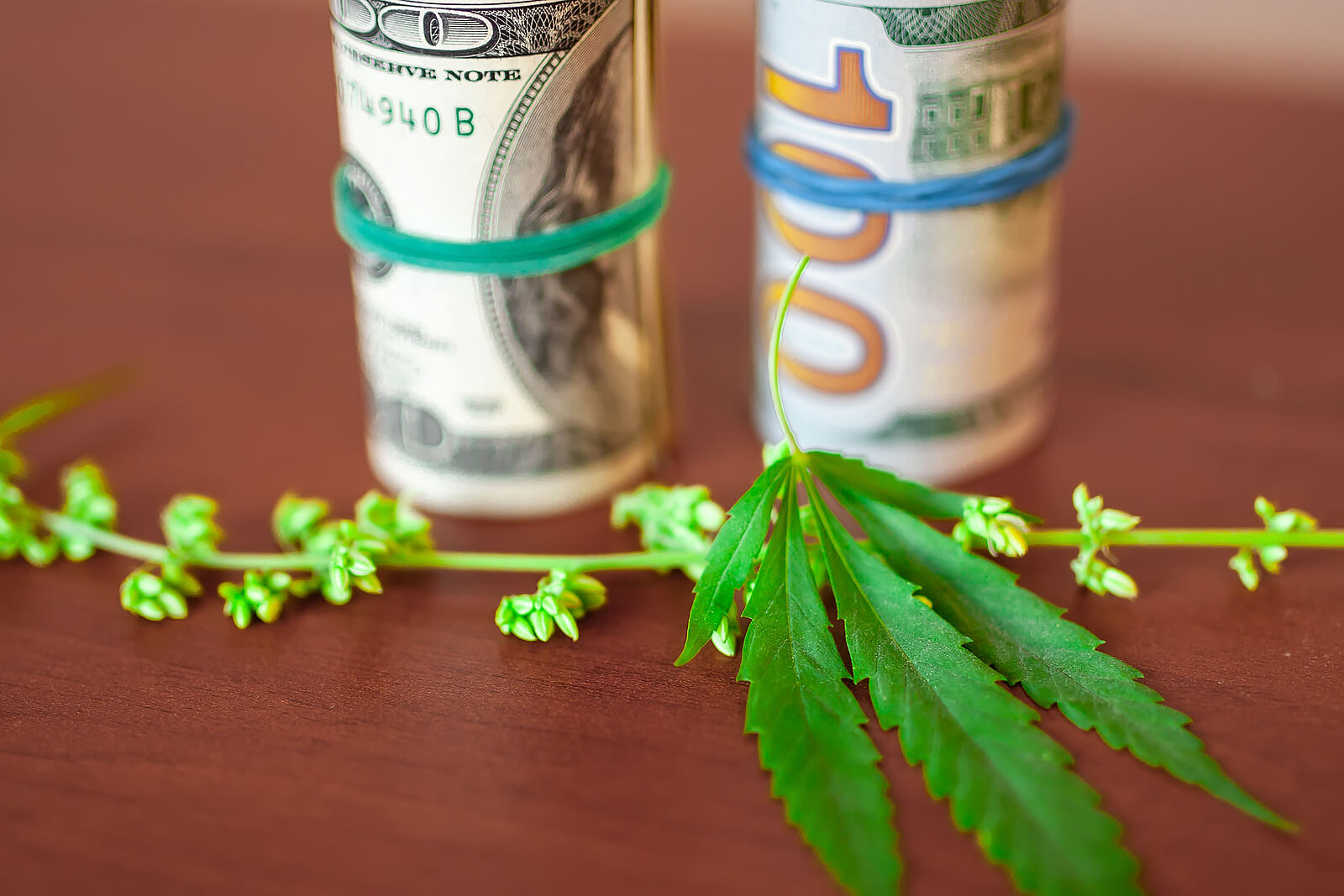 How to Buy Stock in Medical Marijuana Tutorial for Beginners