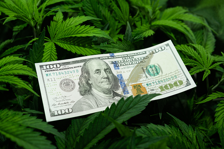 How to Convert Cannabis Waste Materials Into Money