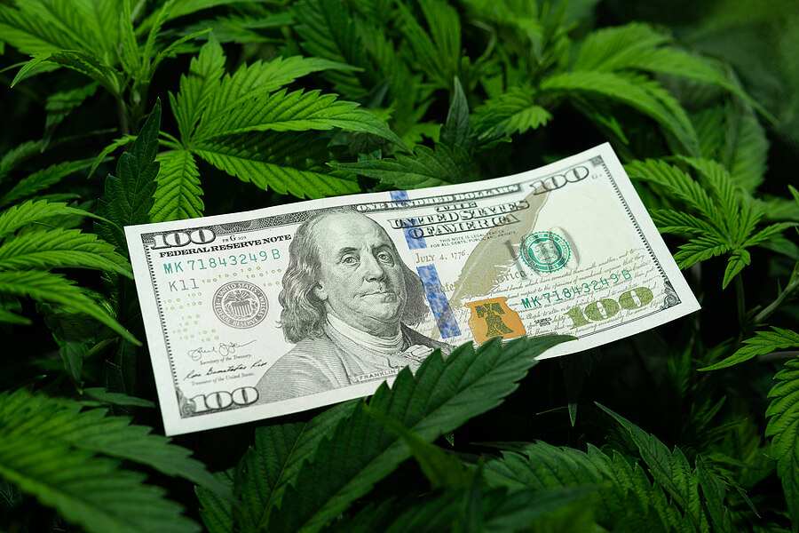 How to Make Money Selling Weed