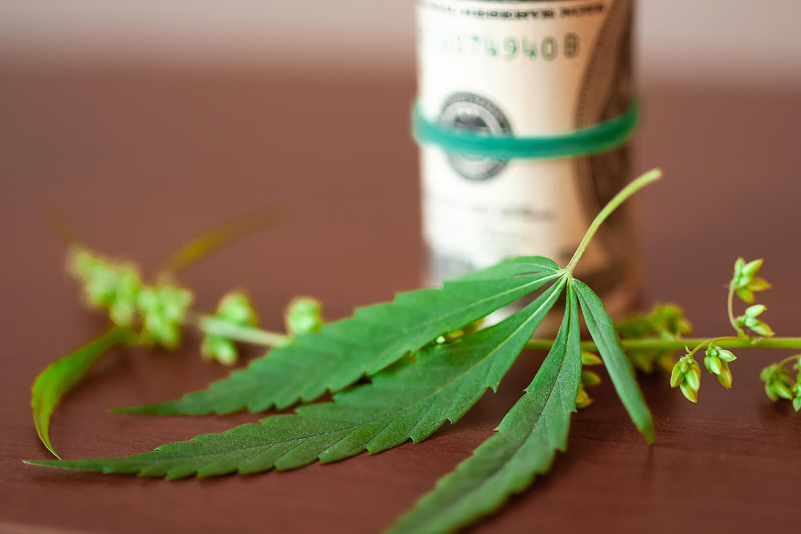 Is Marijuana a Good Stock Investment