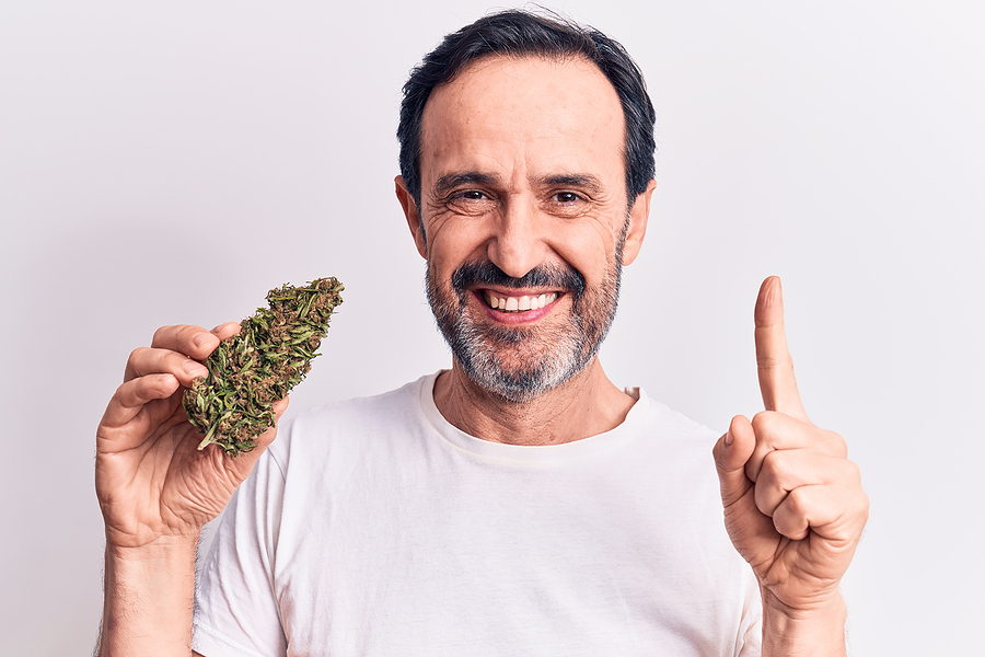Useful Guide to Starting Your Own Marijuana Seeds Business
