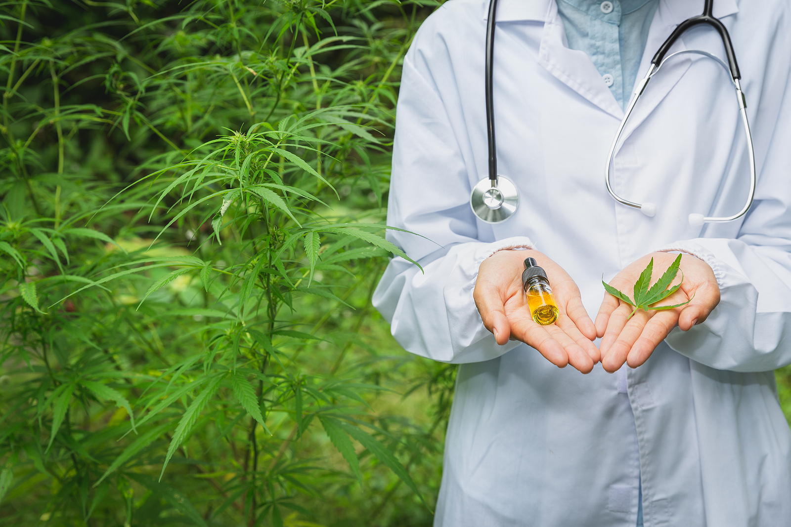 Medical vs Recreational Cannabis: Which is More Profitable to Sell?