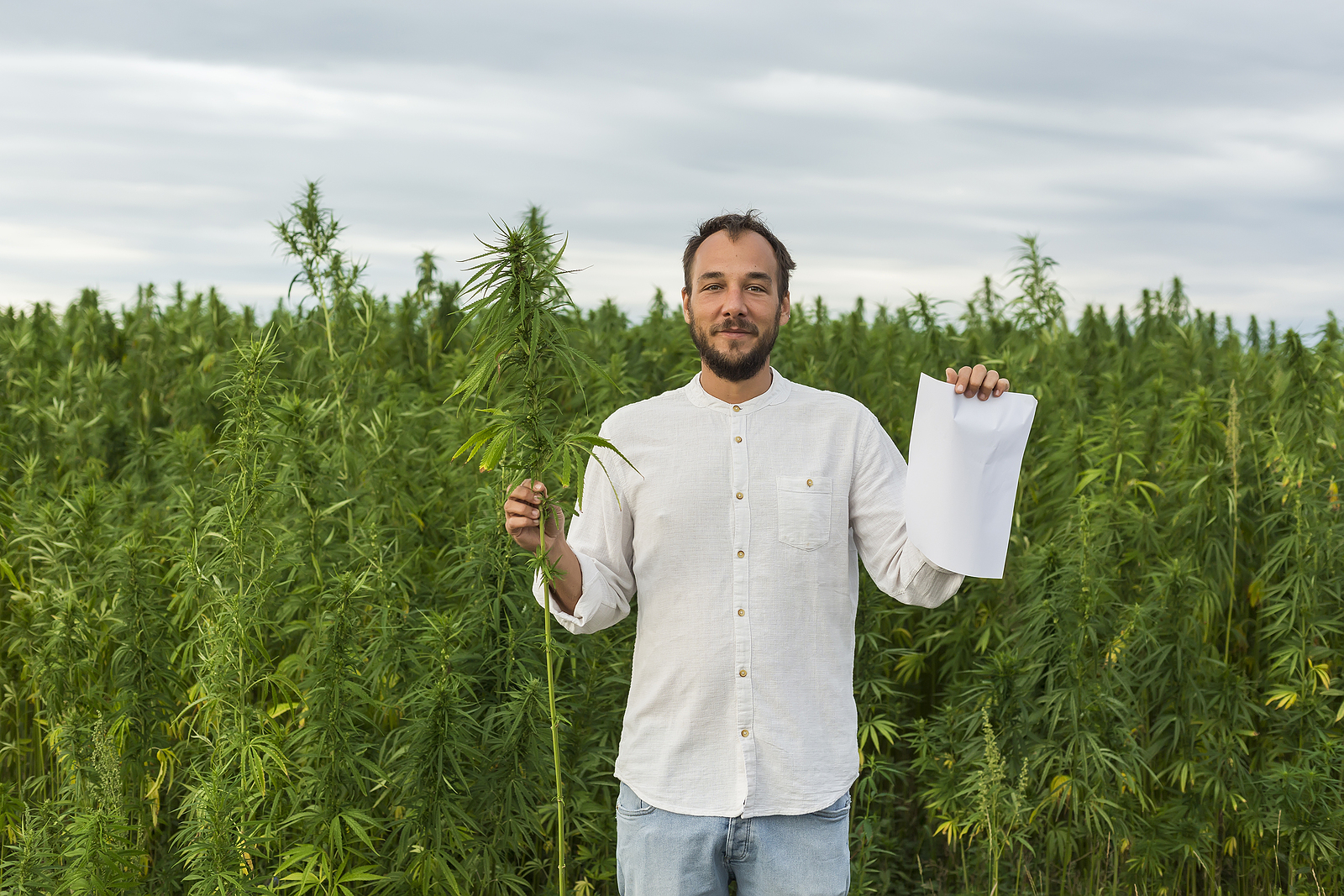 Commercial Cannabis Cultivation Business Planning Guide