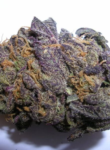 BC Purple Star Strain Regular Marijuana Seeds
