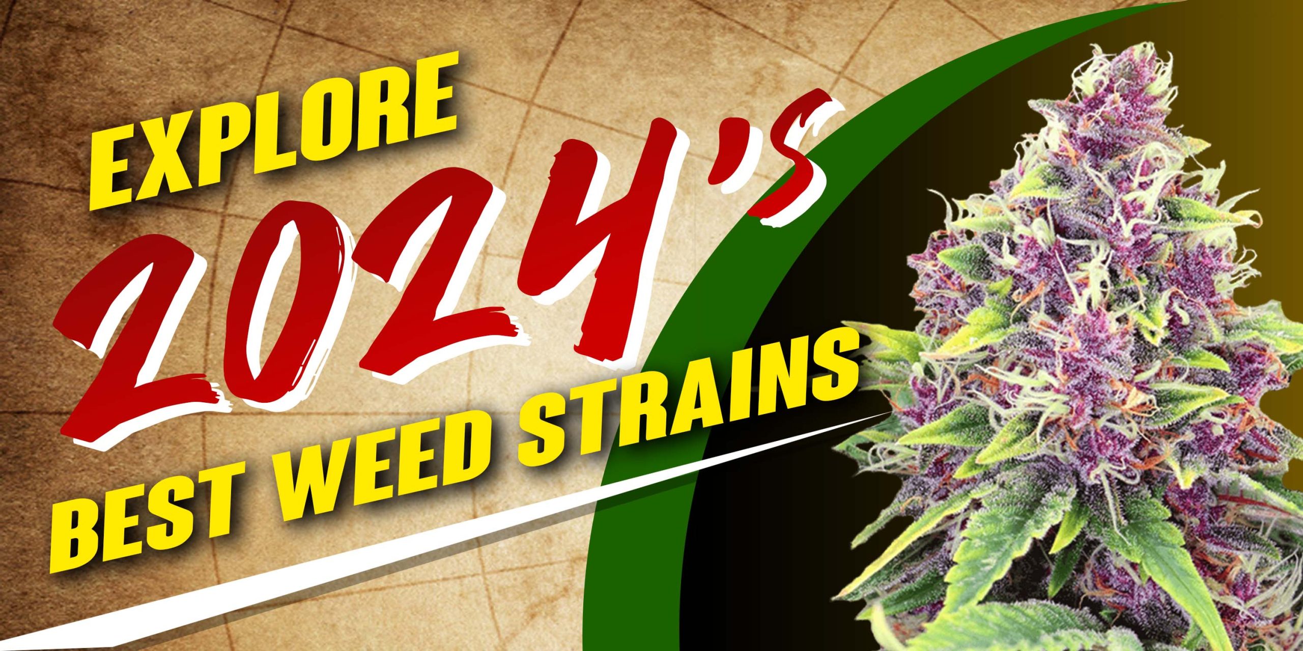 Explore 2024’s Best Weed Strains